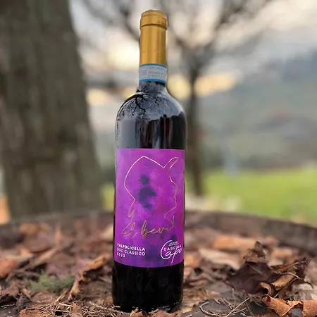 Cascina Capo 팜스테이 네그라르