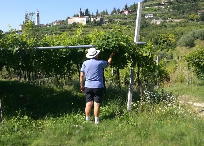 Cascina Capo