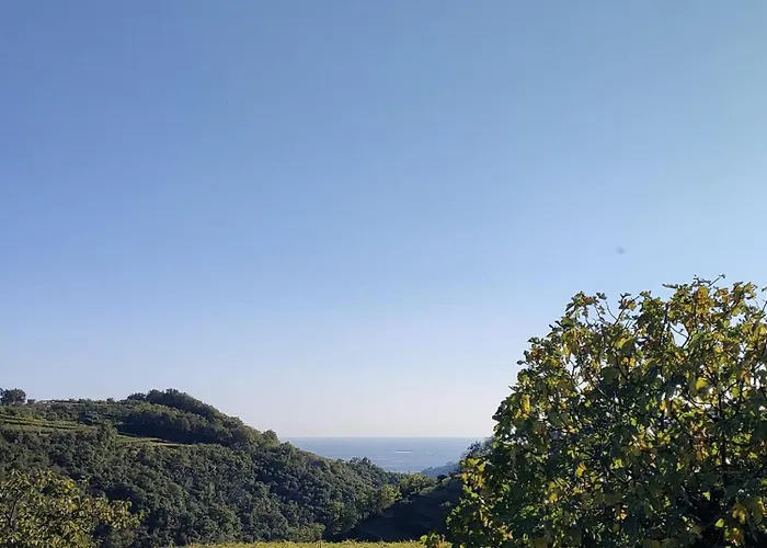 Cascina Capo