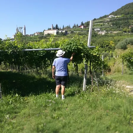 Cascina Capo